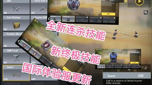 体验服最新爆料博主